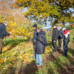 Group of participants listening to Michael as he explains the age and the variety of apple tree he's standing by,