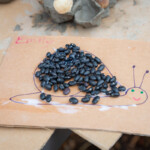 Photo of a snail template with black beans glued to it to form a shell.