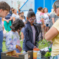 A group of kids at the Fair Shares stall at the 2024 cultural fayre, looking at the plants.