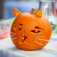 A pumpkin which has been carved to resemble a cat. It has whiskers made from wooden sticks, as well as punpkin chunks used as ears.