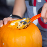 A close up shot of a scoop being lifted out of a pumpkin, full of seeds and flesh.