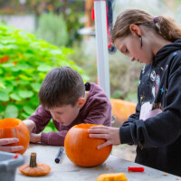 Two kids at a table. The older girl is standing as she makes adjustments to her pumpkin. A younger boy is bent over examining his.