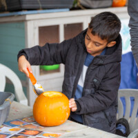 A child standing up and using a scoop to dig into their pumpkin.