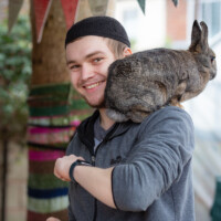 One of our allotment rabbits sitting on the shoulder of a participant.