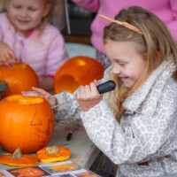 A child using a specialist tool to saw out bits of her pumpkin design.