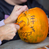 An adult carving the design drawn by their grandchild into a pumpkin.
